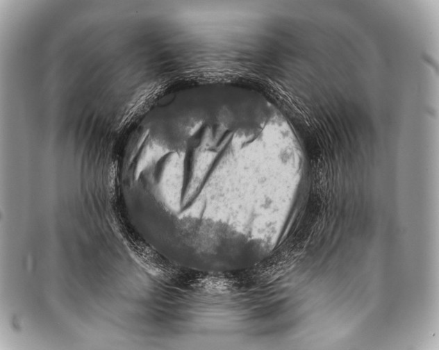 X0000096220742200802081525