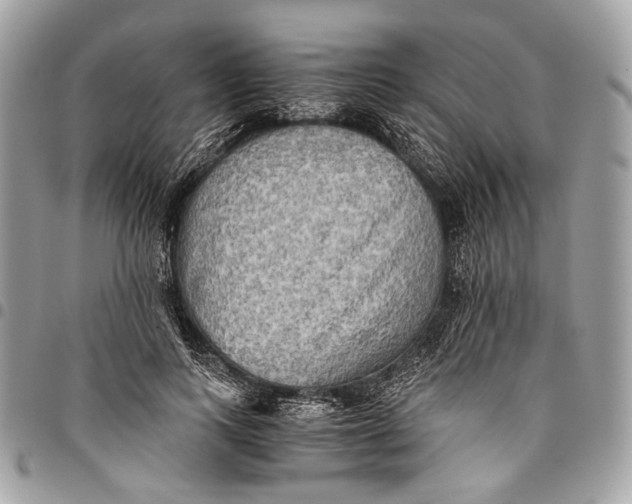 X0000096220743200802081525