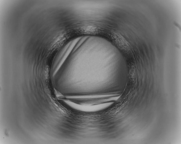 X0000096220744200802081525