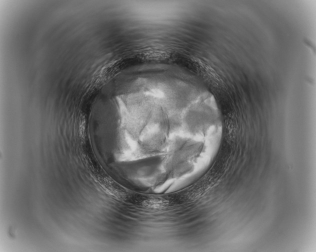 X0000096220745200802081525