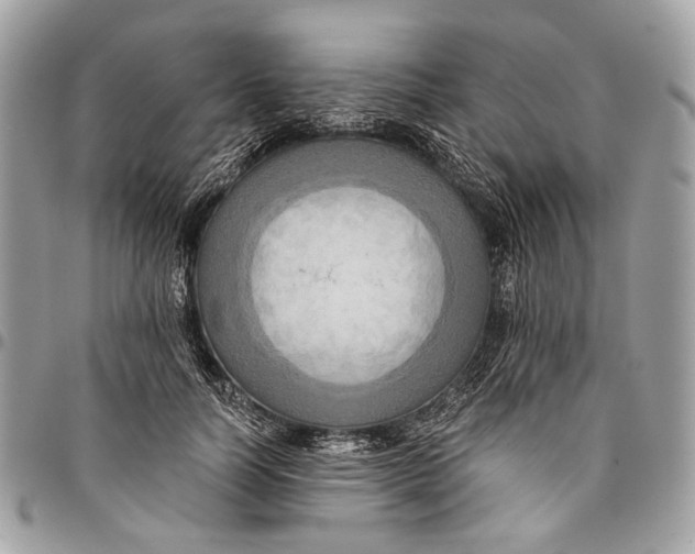 X0000096220746200802081525