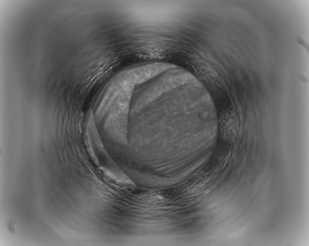 X0000096220747200802081525