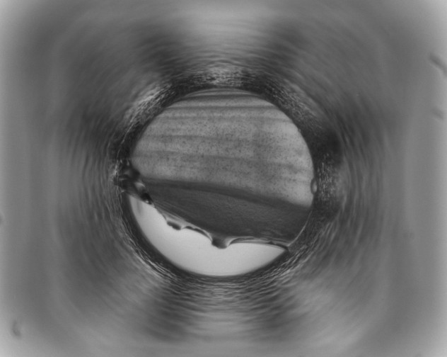 X0000096220748200802081525