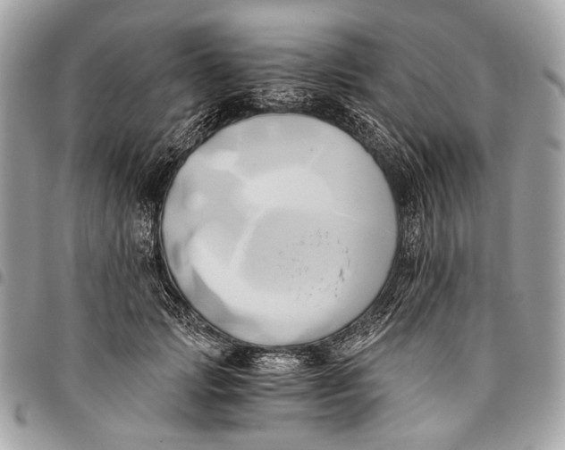 X0000096220749200802081525