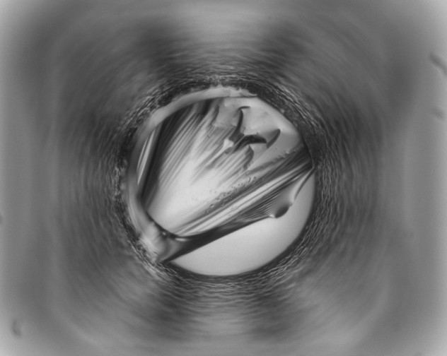 X0000096220750200802081525