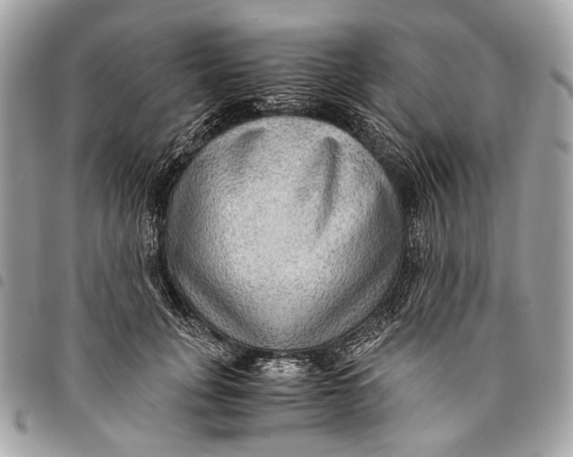 X0000096220751200802081525