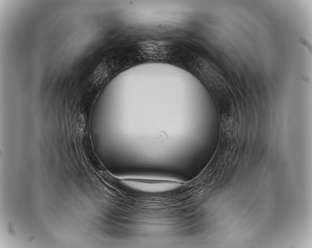 X0000096220752200802081525