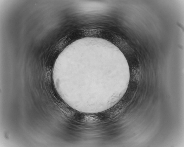 X0000096220753200802081525