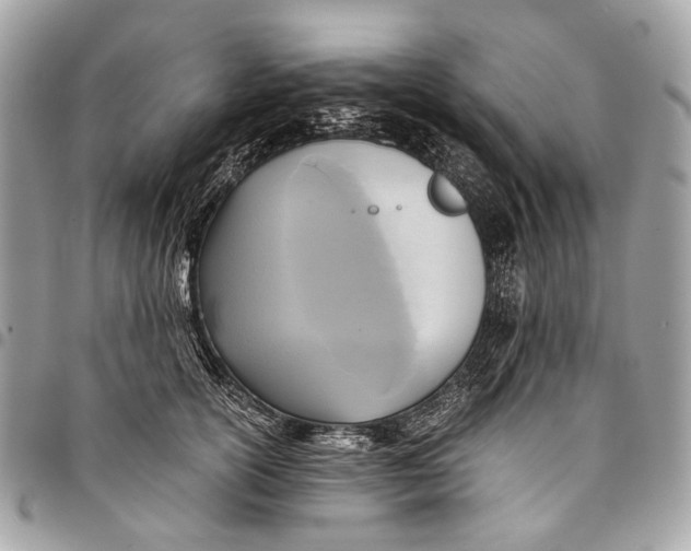 X0000096220754200802081525