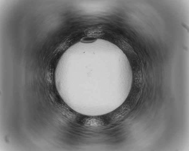 X0000096220755200802081525