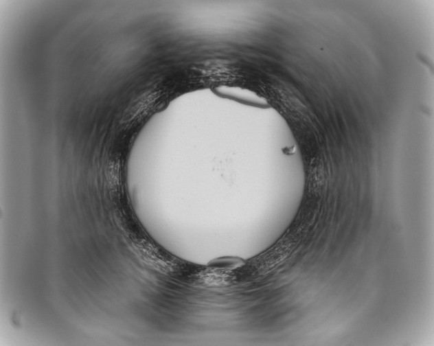 X0000096220756200802081525