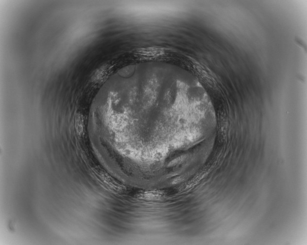 X0000096220758200802081525