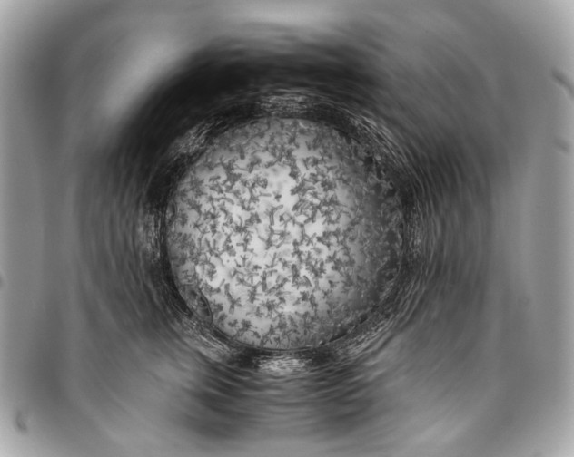 X0000096220759200802081525