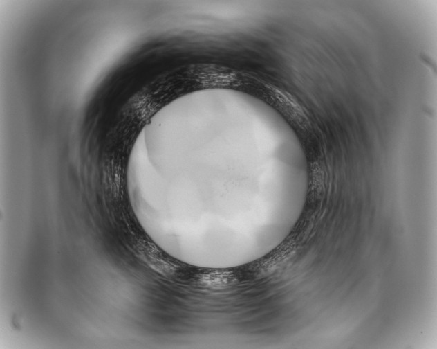 X0000096220761200802081525