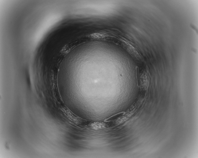 X0000096220762200802081525