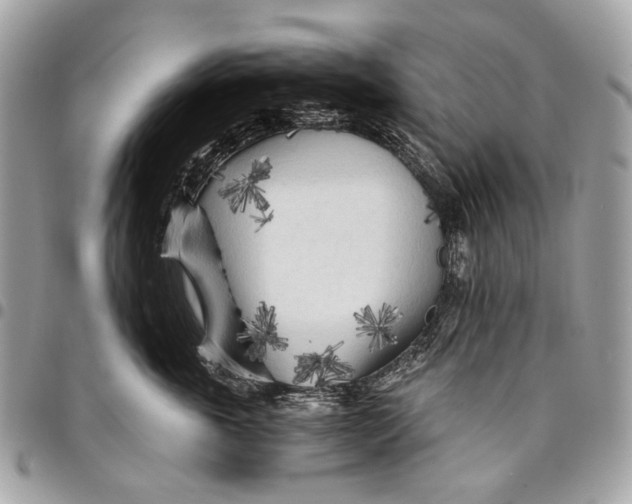 X0000096220763200802081525