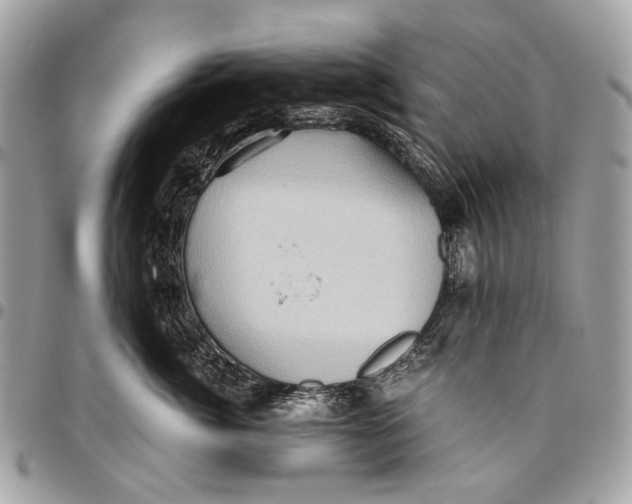 X0000096220764200802081525