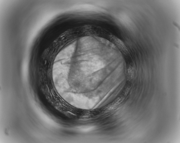 X0000096220765200802081525