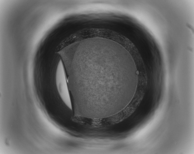 X0000096220766200802081525