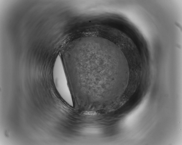 X0000096220767200802081525