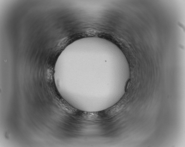 X0000096220768200802081525