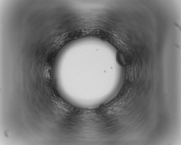 X0000096220770200802081524