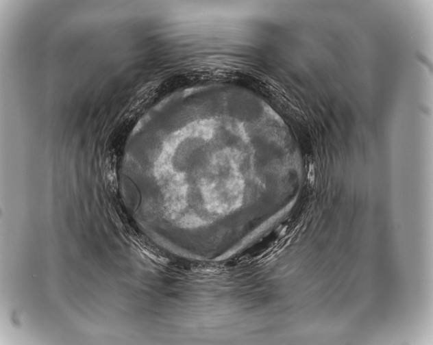 X0000096220771200802081524