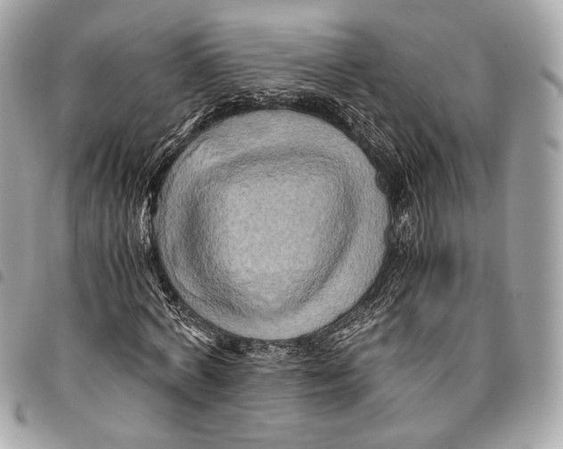 X0000096220772200802081524