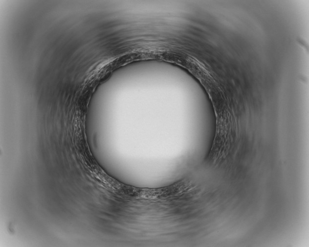 X0000096220773200802081524