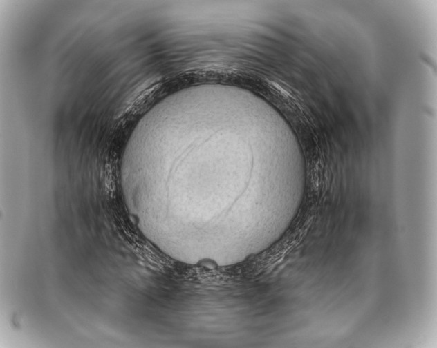 X0000096220774200802081524