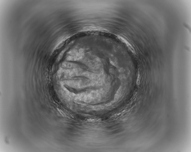 X0000096220775200802081524