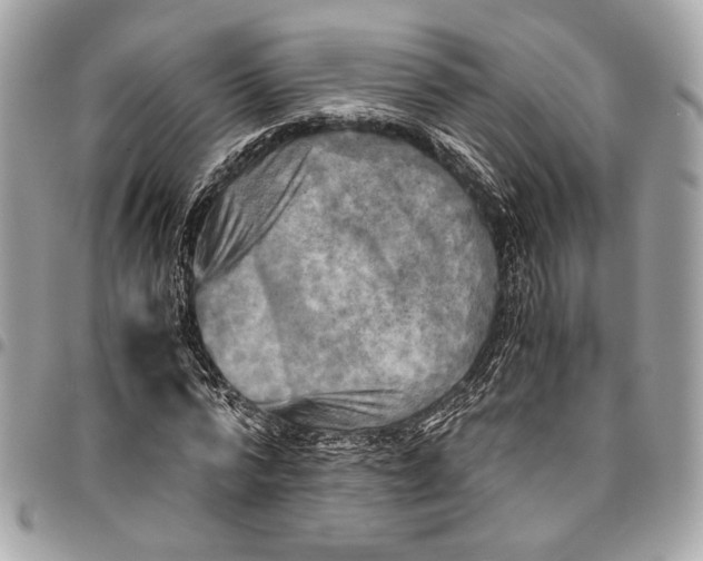 X0000096220776200802081524