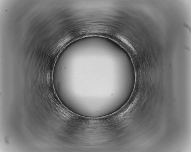 X0000096220777200802081524