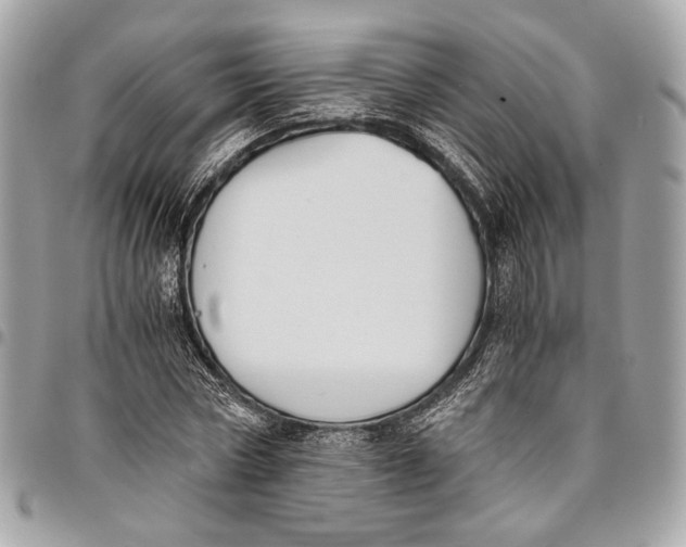 X0000096220778200802081524