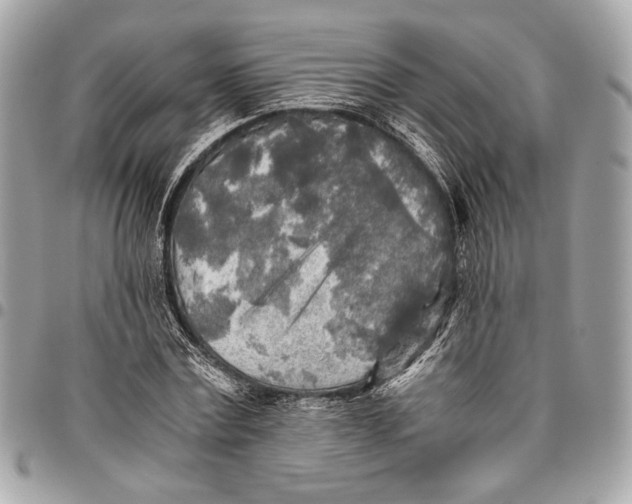 X0000096220779200802081524