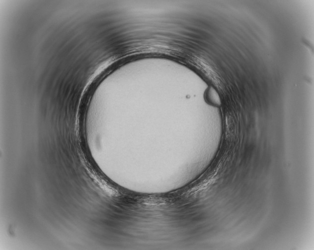 X0000096220780200802081524