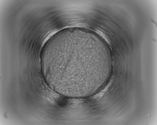 X0000096220781200802081524