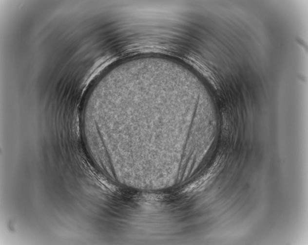 X0000096220782200802081524