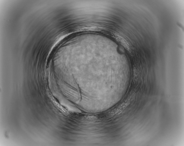 X0000096220784200802081524