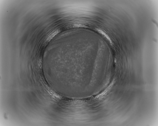 X0000096220785200802081524