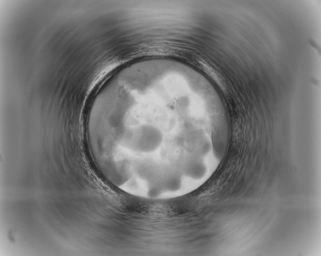 X0000096220787200802081524