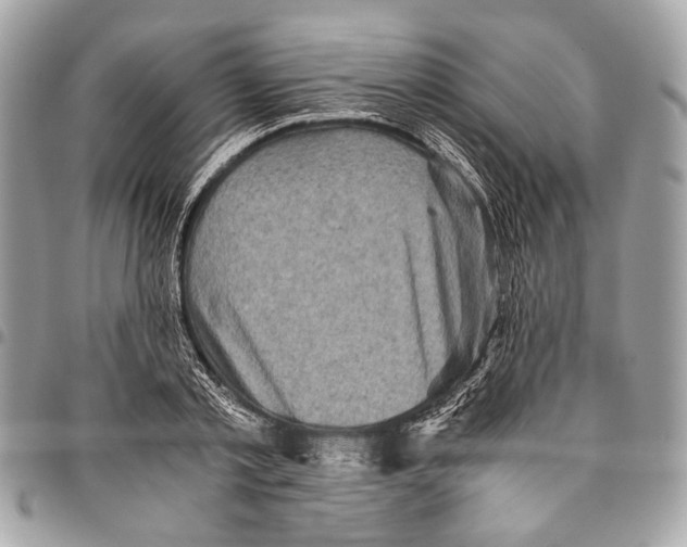 X0000096220789200802081524