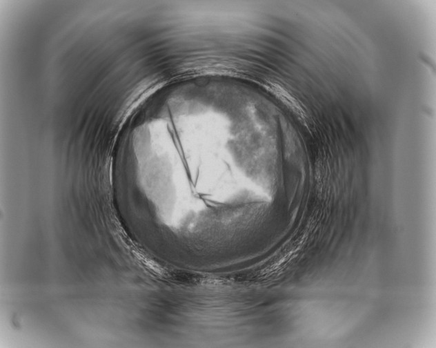 X0000096220790200802081524