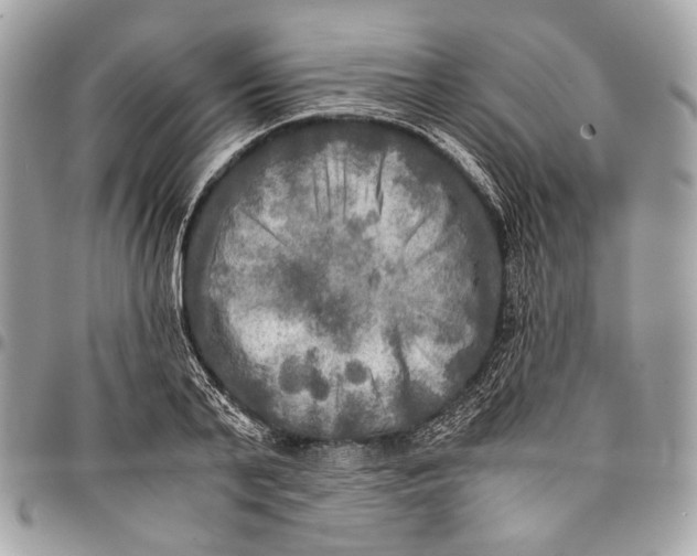 X0000096220791200802081524