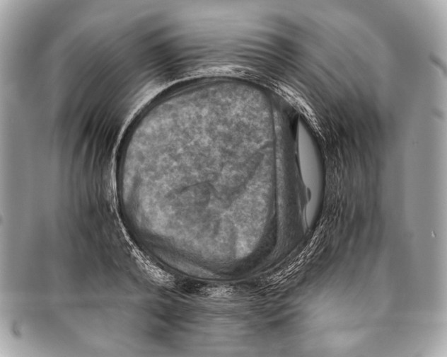 X0000096220792200802081524