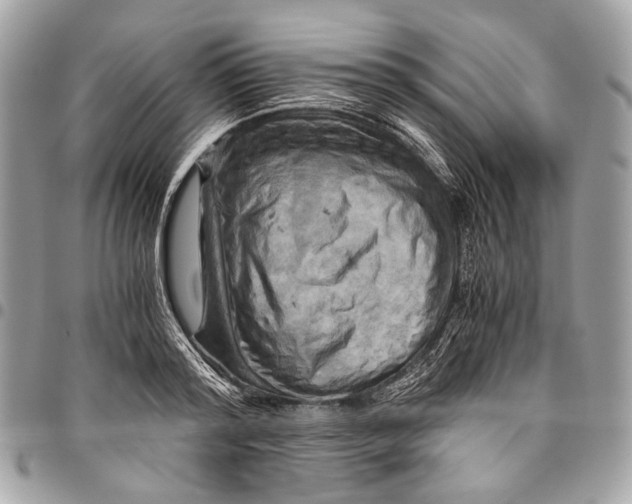 X0000096220796200802081524