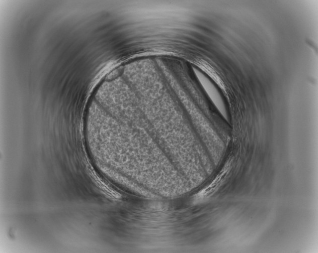 X0000096220797200802081524