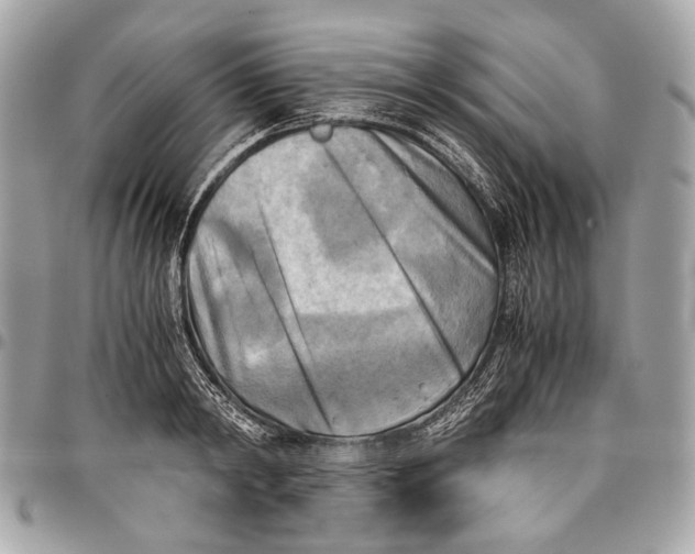 X0000096220798200802081524