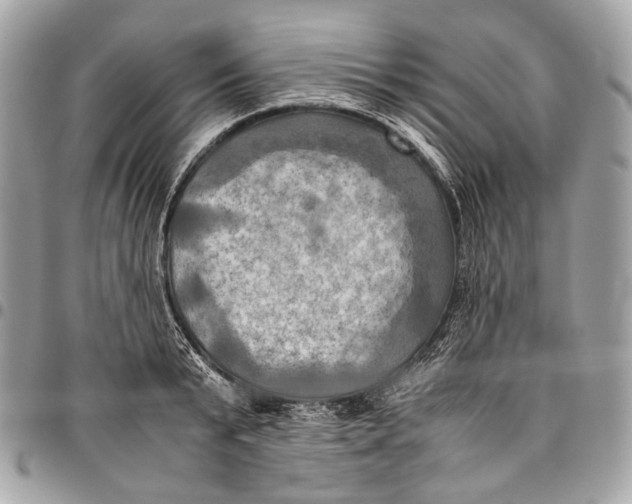 X0000096220799200802081524