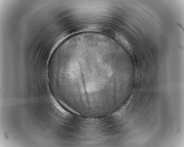 X0000096220800200802081524